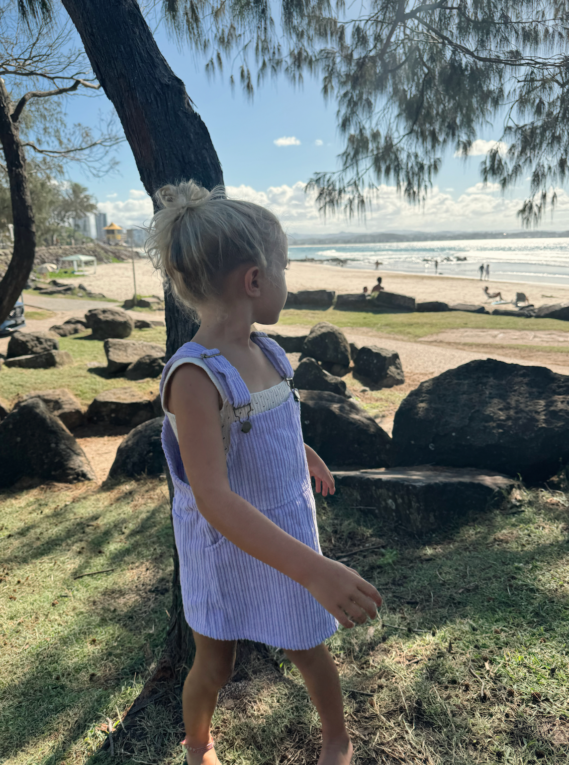 Dala Pinafore - Lilac
