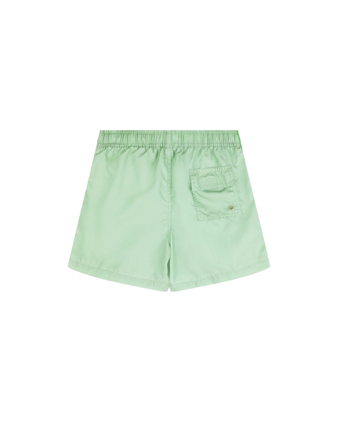 Sage with Palm Stripe Boardshort